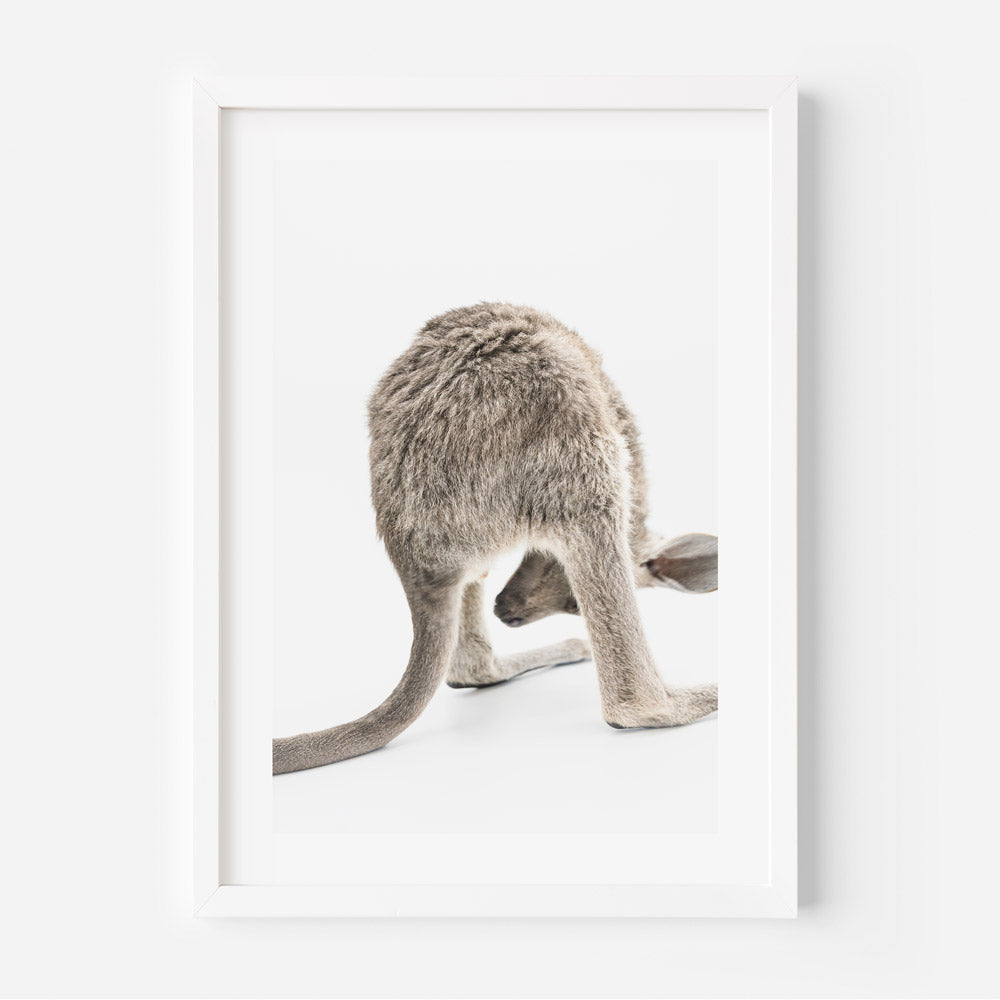 Little Kangaroo Art Print