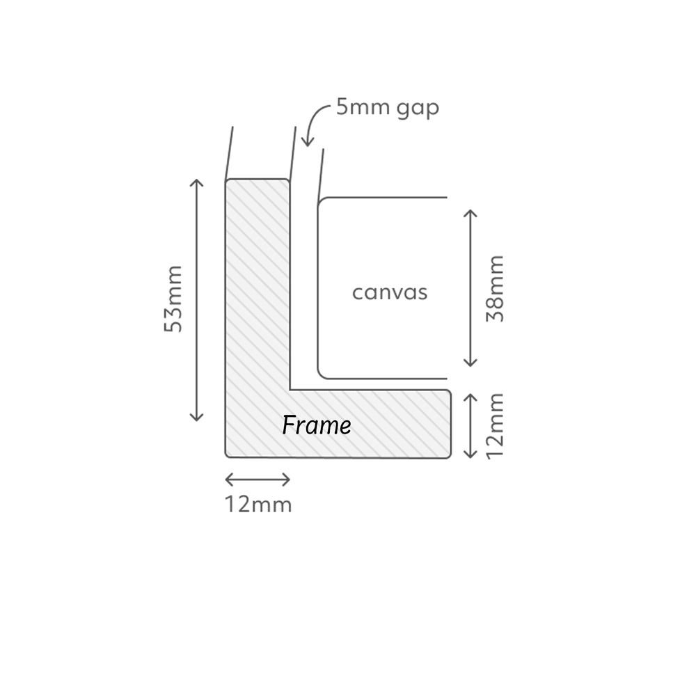 Budgerigar Canvas Art