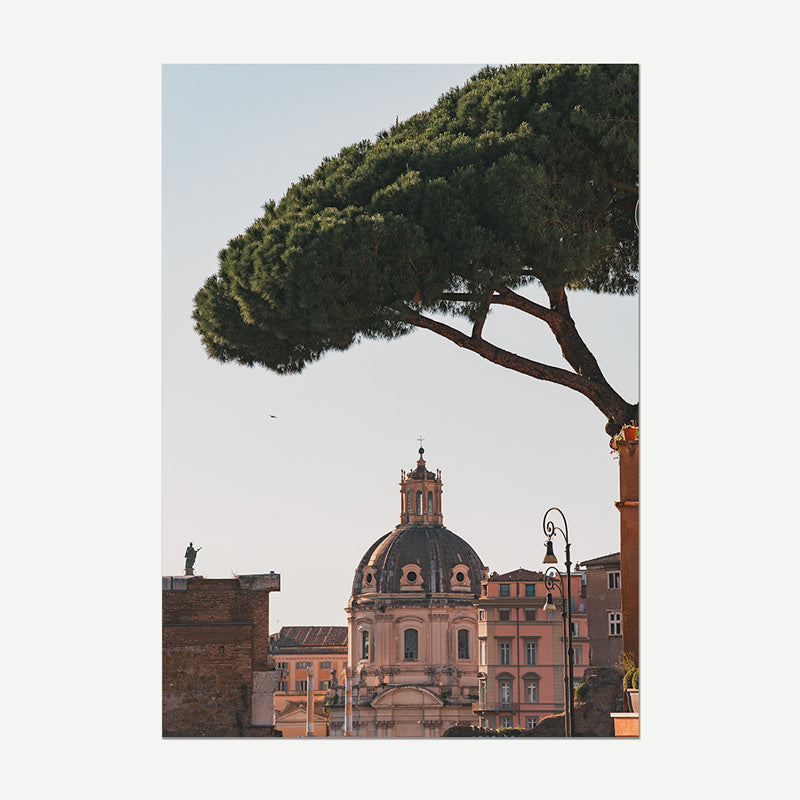 A vertical photographic print of a historic domed building framed by a large green tree branch and leaves against a pale sky, shown with a light gray border.