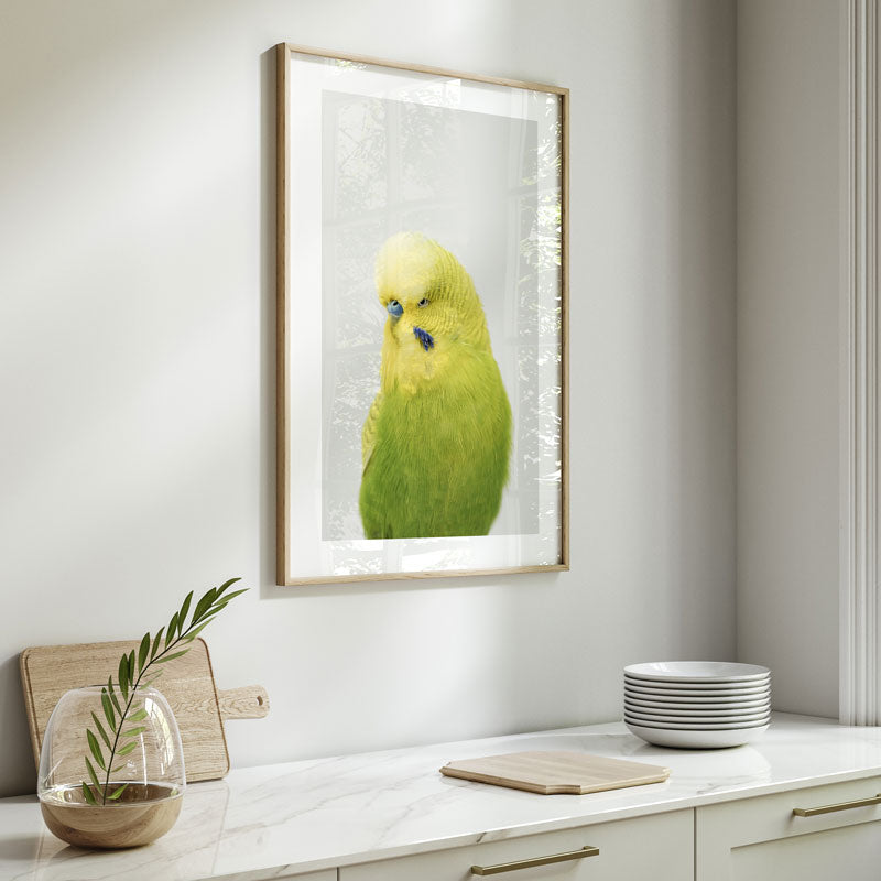 Framed picture of a green parrot on a wall above a kitchen counter.