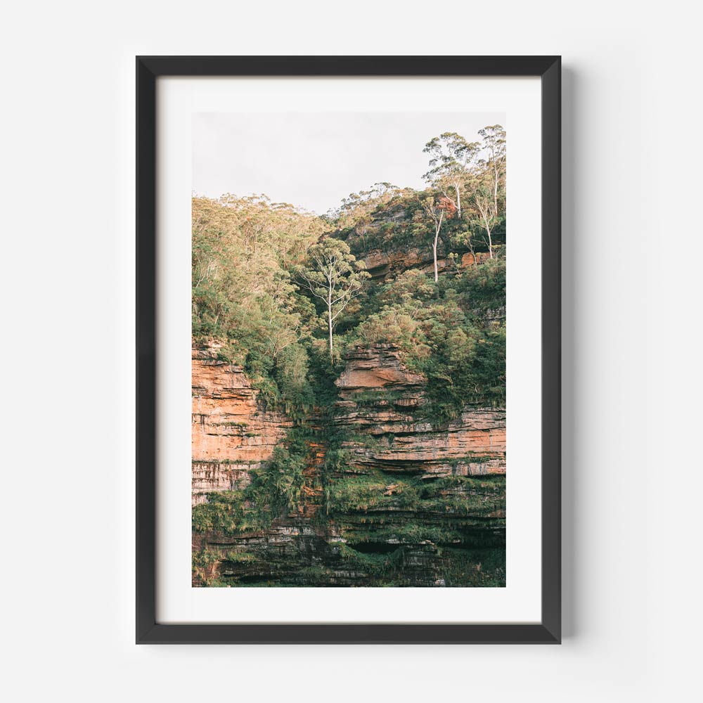 Australian Nature Wall Art: Breathtaking photograph of the Green Wall, enhancing collections.