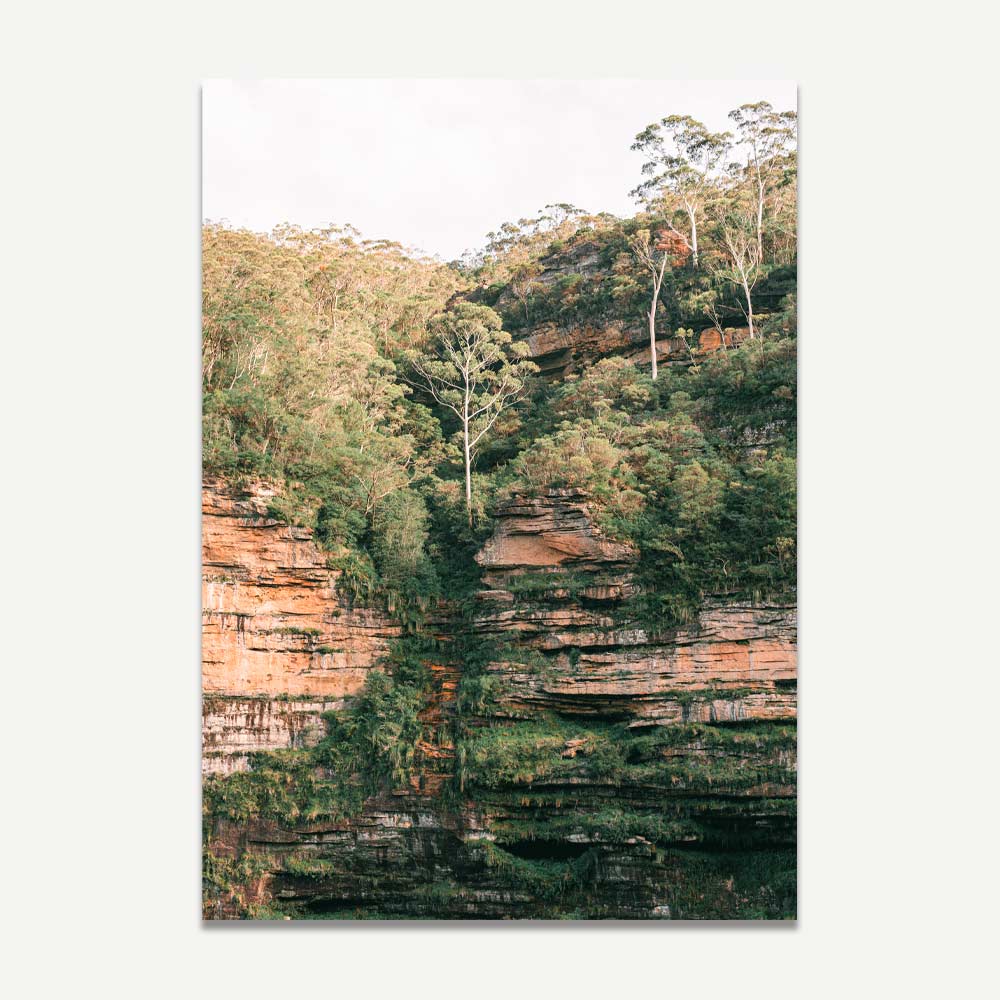 Blue Mountains Home Decor: Stylish photo of the Green Wall, perfect for canvas prints and wall art.