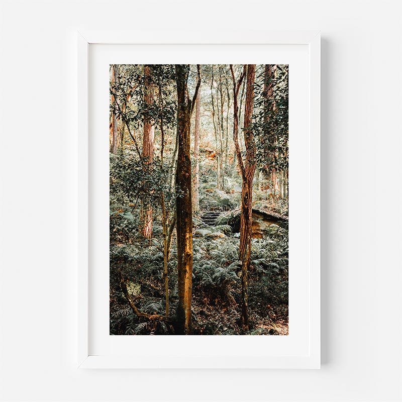 Framed print of a forest scene with trees and underbrush.