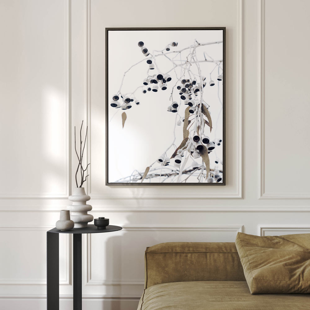 Eucalyptus Nuts I Art Print
