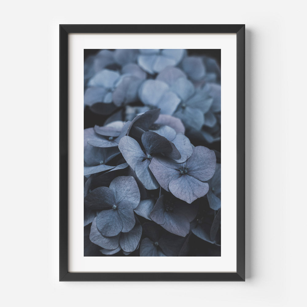 Leafy Greens: Photograph capturing the vibrant green hues and unique textures of Hydrangea leaves, perfect for enhancing your home decor.