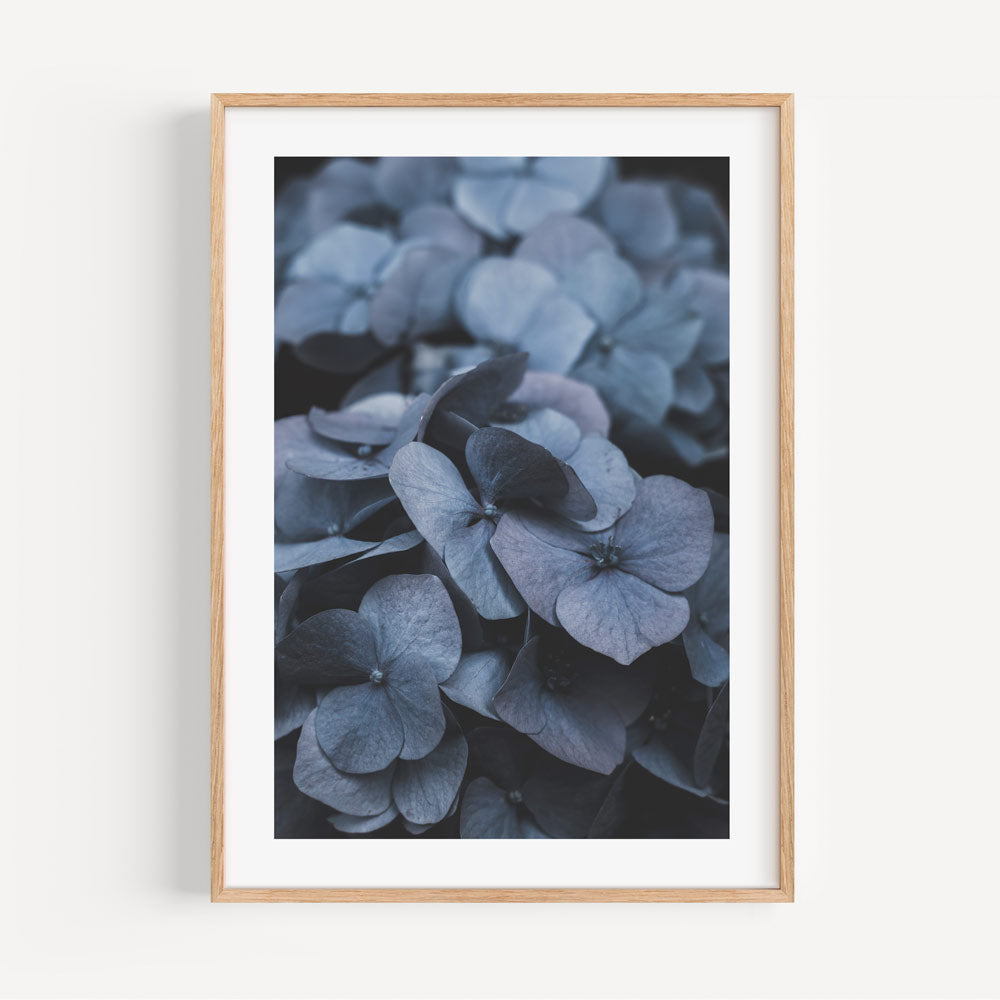 Close-up image highlighting the delicate veins and patterns of Hydrangea leaves, adding natural charm to your wall decor.
