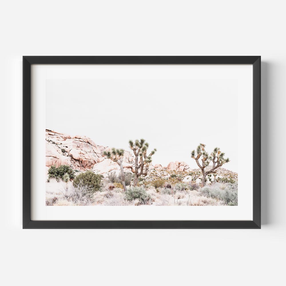 Scenic Joshua Tree National Park, California landscape in exquisite wall art by OblongShop.