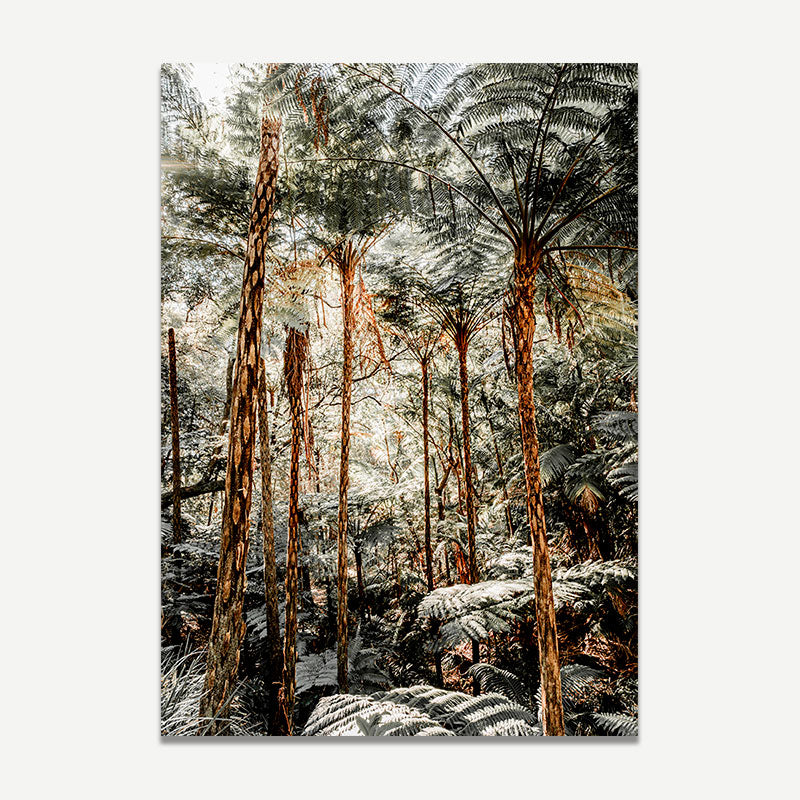 Forest scene with tall trees and ferns on a white background
