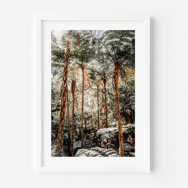 Framed photograph of a forest with tall trees and a white frame.