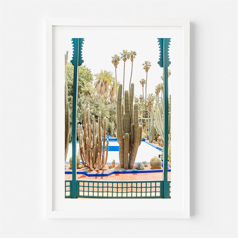Framed photograph of cacti and palm trees in a garden setting