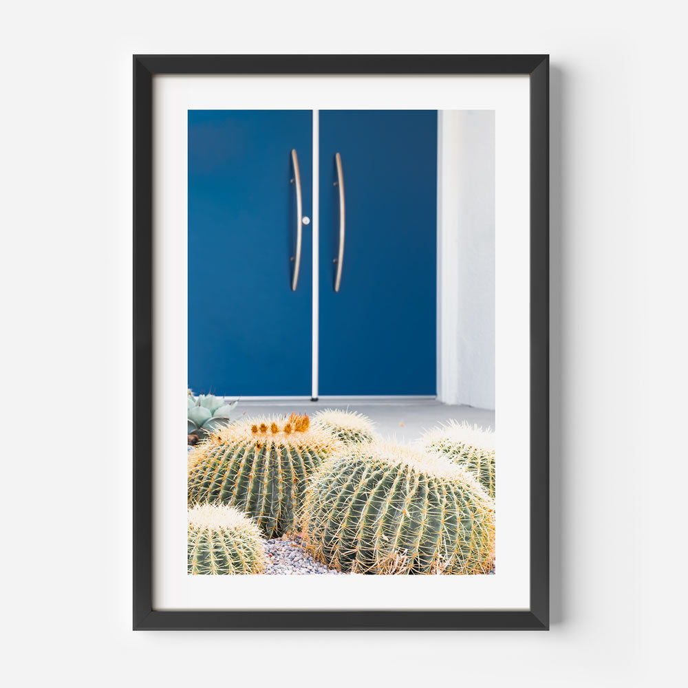 Beautiful blue door home with cactus in front, Palm Springs - great for living room wall art and framed art.