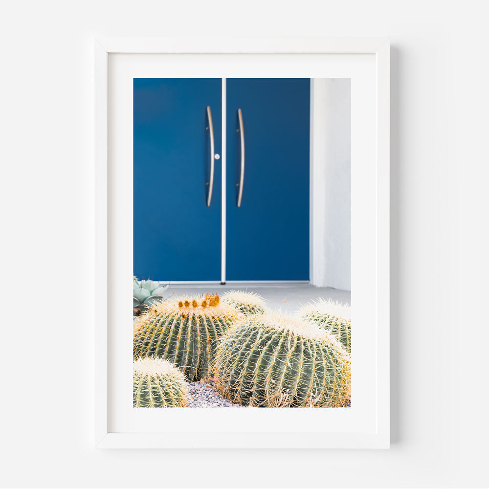 Blue door home with cactus plant in front, Palm Springs - perfect for modern wall art and home decor.