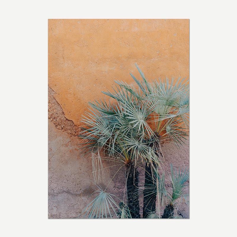 Palm trees against a textured wall with warm tones