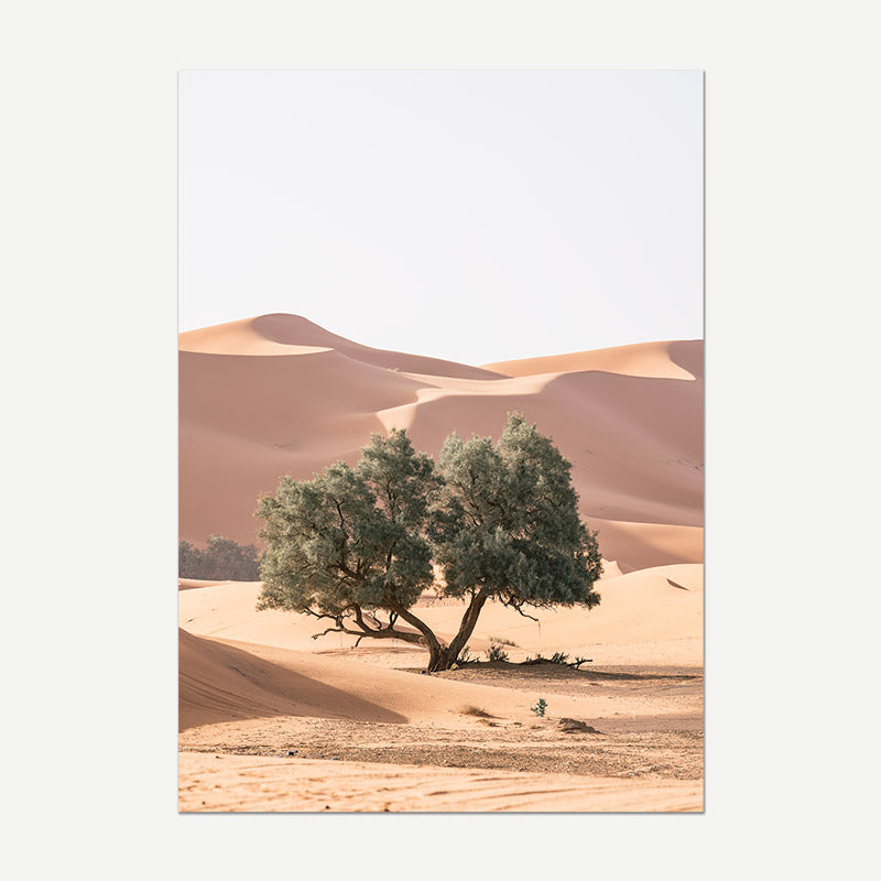 Desert landscape with a large tree amidst sand dunes