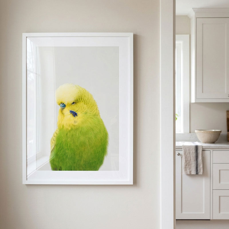 Green & Gold Show Budgie Art Print