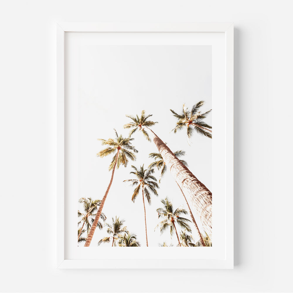 Puerto Vallarta Palms Art Print