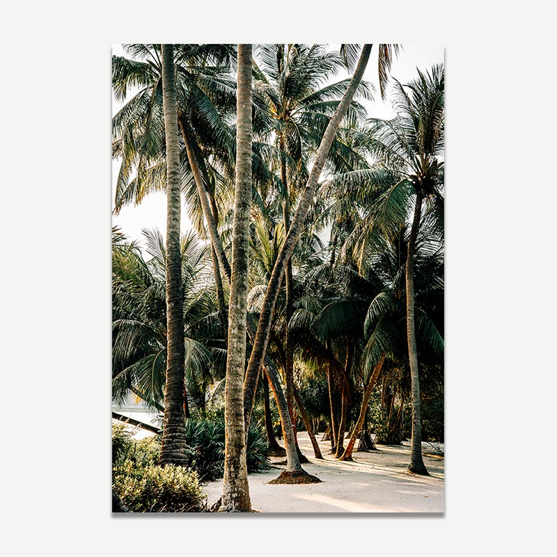 Alley of palm trees with a path in a tropical setting