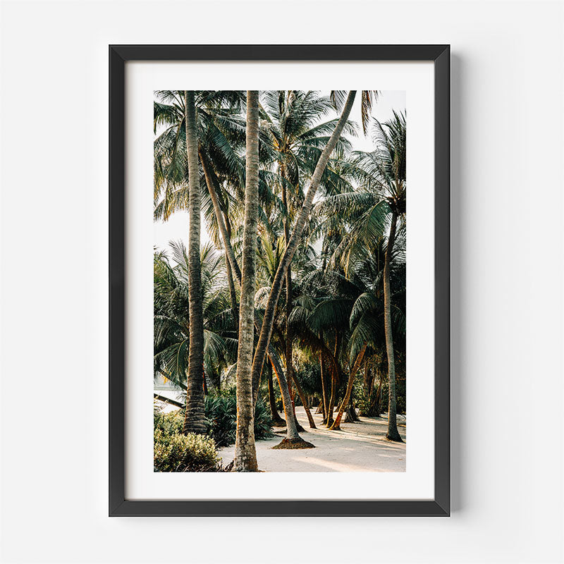 Framed photograph of a tropical landscape with palm trees on a white wall.