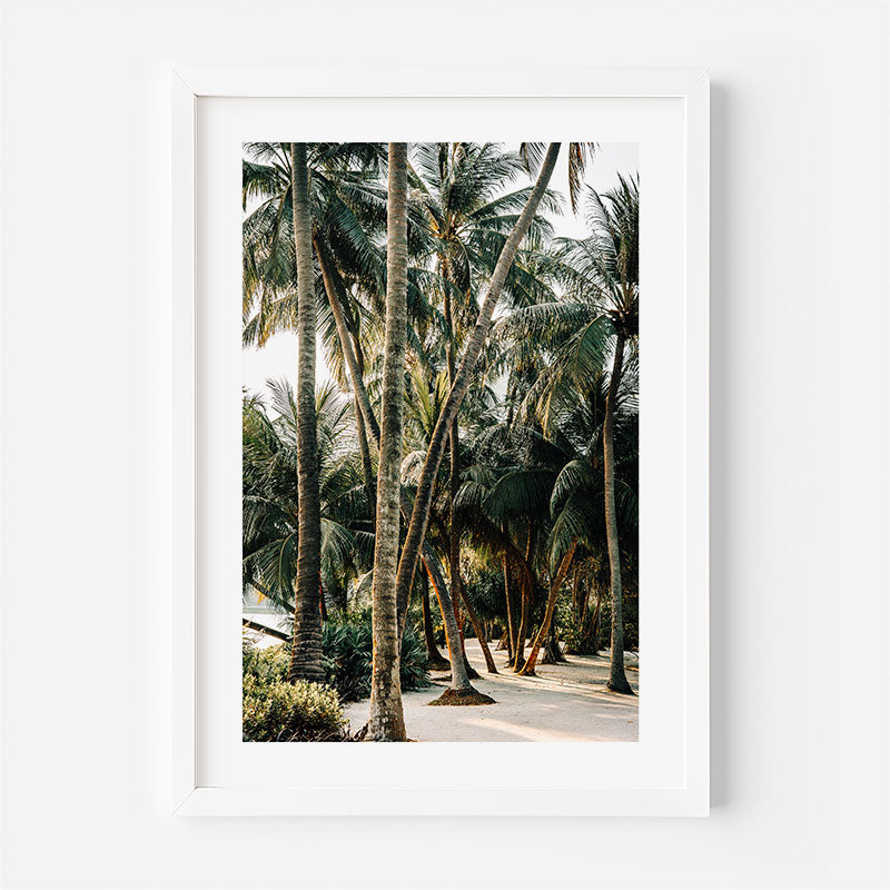 Framed photograph of a tropical landscape with palm trees on a white background
