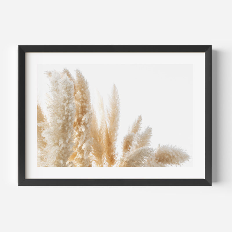 Framed print showcasing the delicate beauty of Pampas Grass, adding a sense of elegance to your wall art collection.