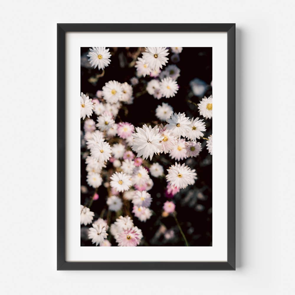 Paper Daisy II Art Print