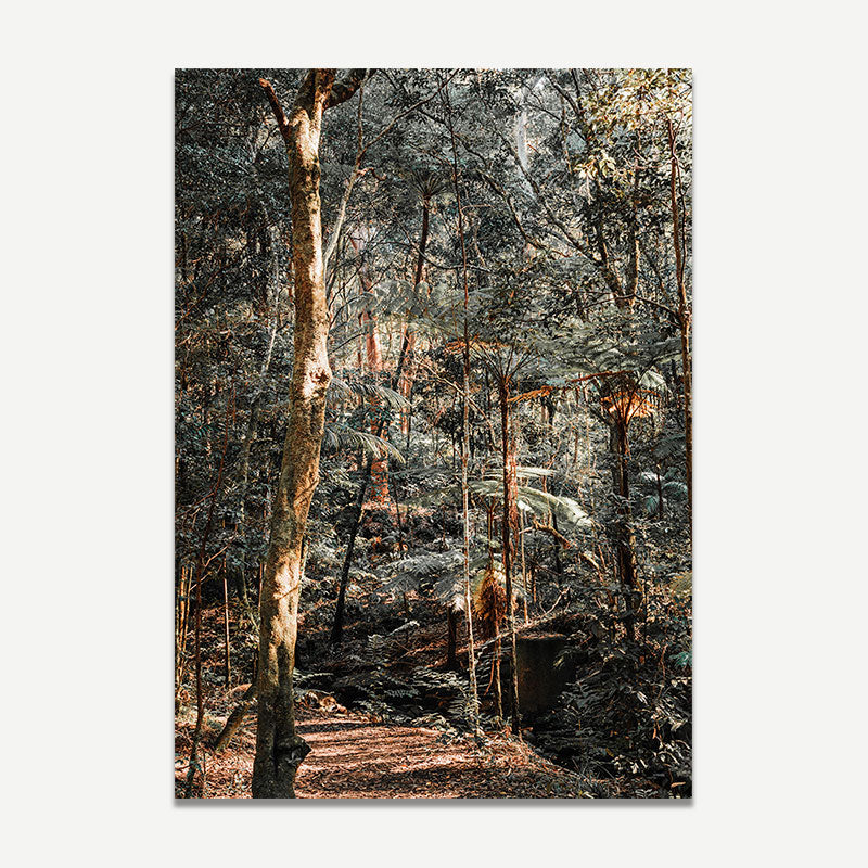 Forest scene with trees and rocks on a white background