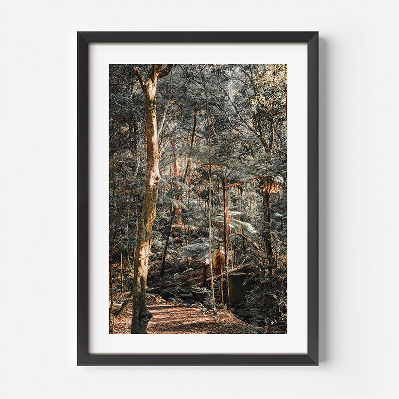Framed artwork of a forest scene with a person walking through the trees.