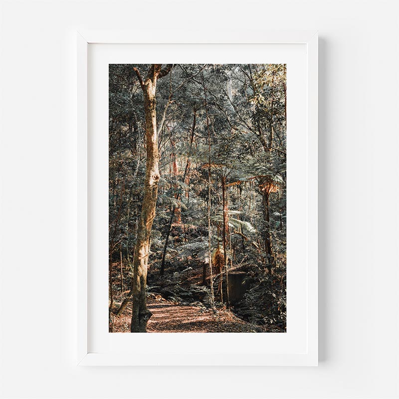 Framed photograph of a forest scene with trees and underbrush.