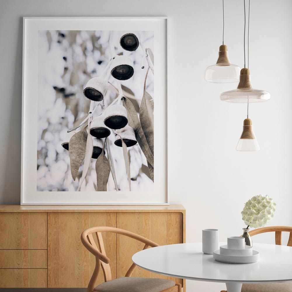 Eucalyptus Nuts III Art Print