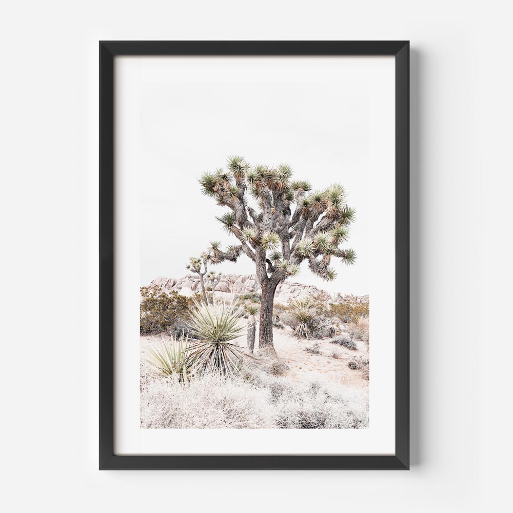 Joshua Tree National Park Yucca plant wall art by OblongShop, capturing California's desert beauty.