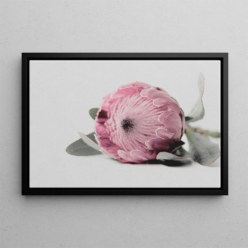 Framed photograph of a pink flower on a gray wall