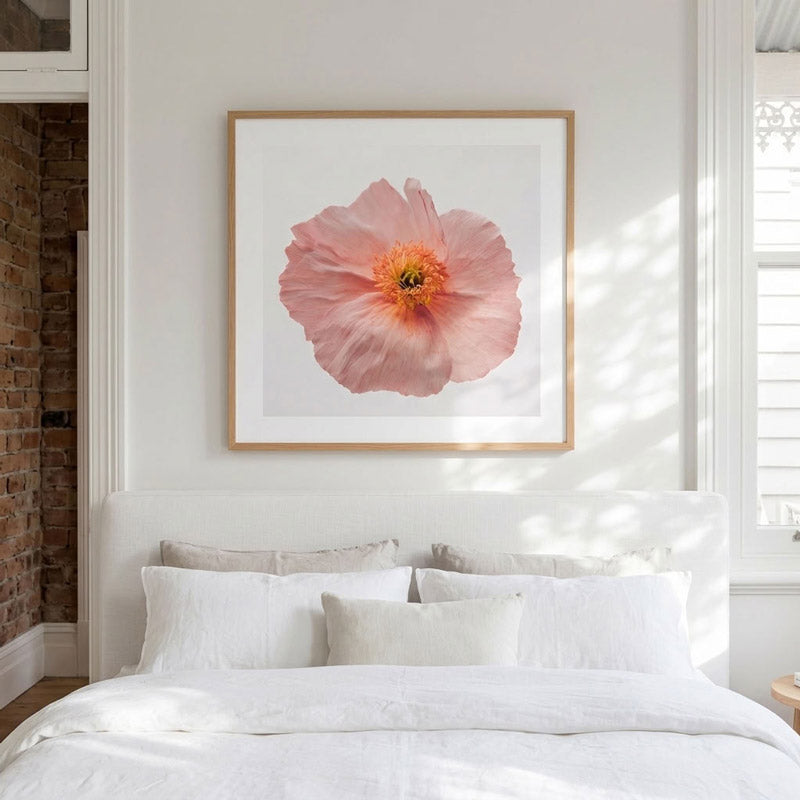 Pink Poppy SQ Art Print