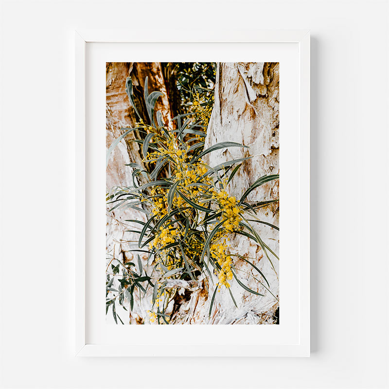 A framed botanical art print featuring yellow flowers with green leaves against a textured white and brown tree bark background, presented in a white frame on a light gray wall.
