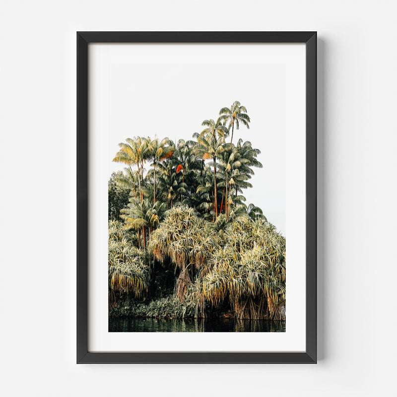 Framed artwork of a tropical forest scene with palm trees and foliage.