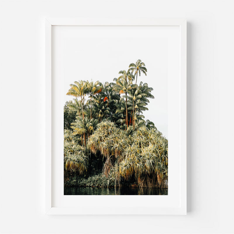 Framed artwork of a tropical forest scene with palm trees and water.