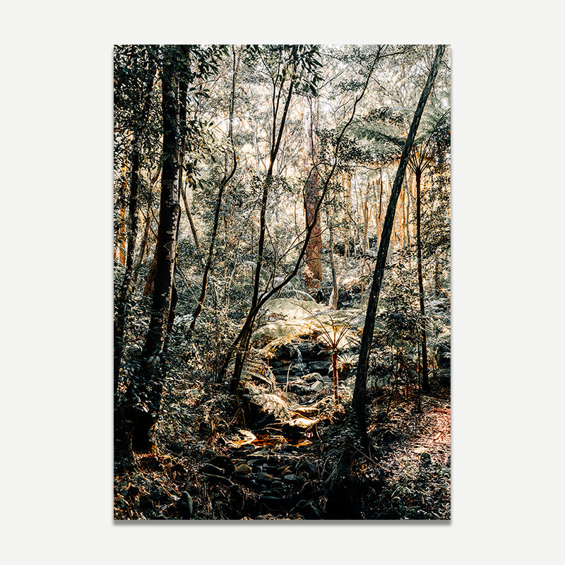 Forest scene with sunlight filtering through trees