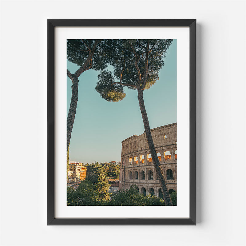 A framed art print depicting the Colosseum in Rome, framed by tall pine trees against a clear blue sky, presented in a black frame with a white mat on a light gray background.