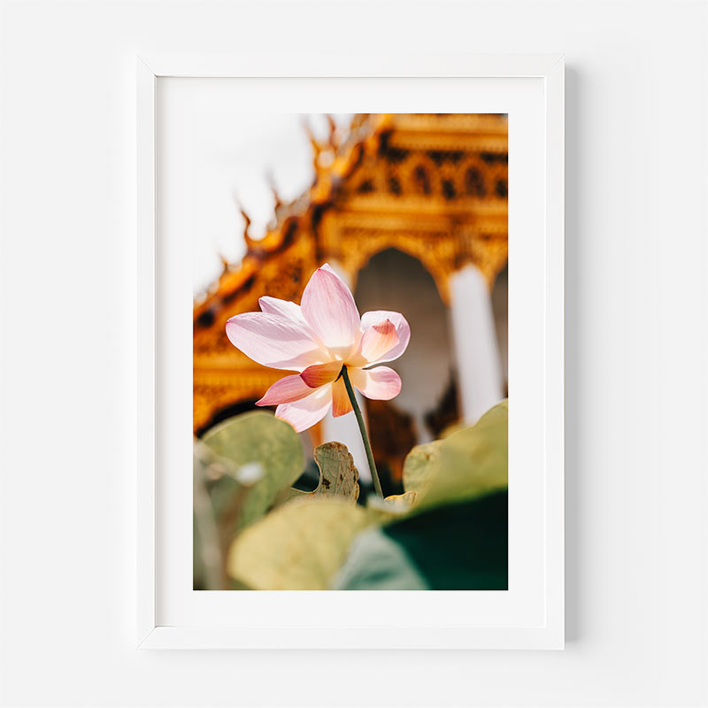 A framed art print featuring a pink lotus flower in the foreground with a warm, golden temple structure blurred in the background, presented in a white frame against a light gray wall.