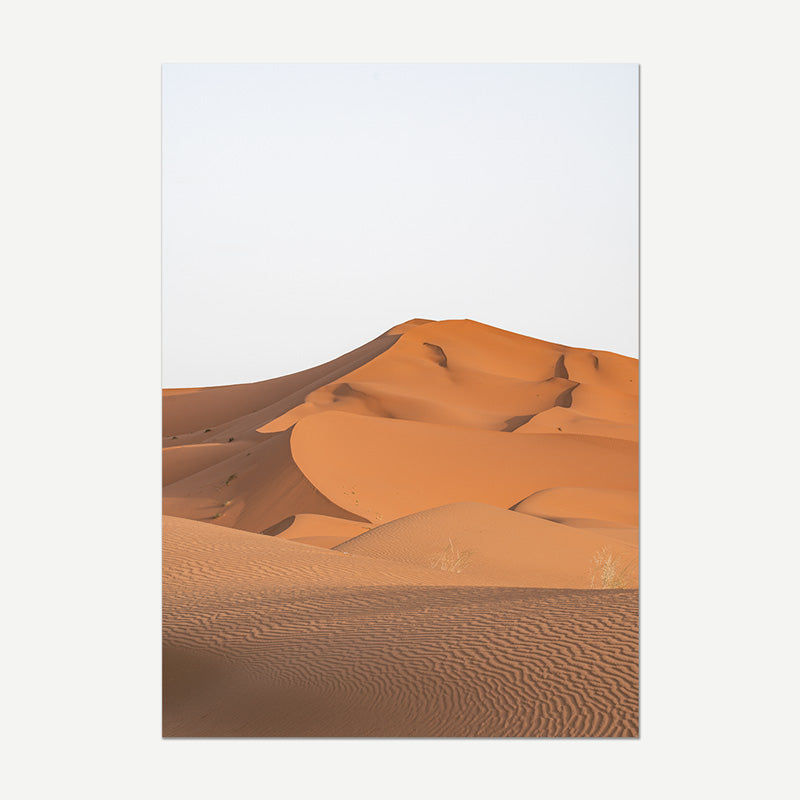 Desert landscape with sand dunes on a white background