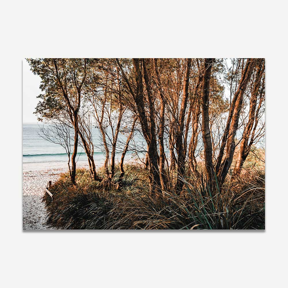 pathway to the beach art print