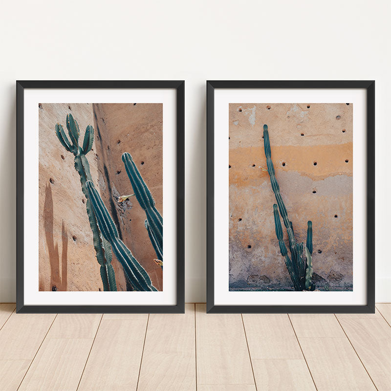 Two framed prints of cacti against a textured wall on a wooden floor.