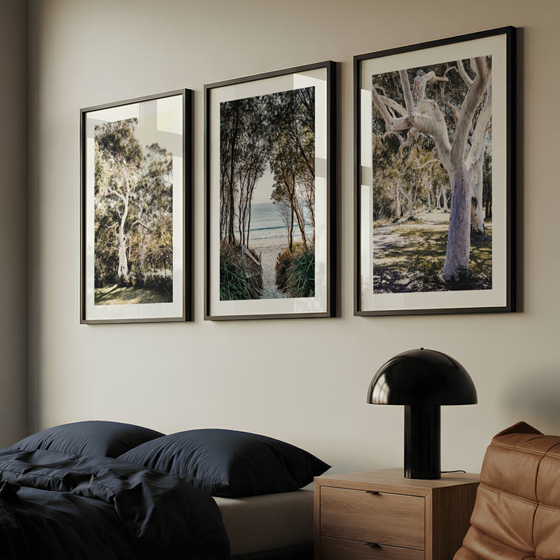 Set of 3 Art Prints - Callala-Gums, A New Day at Callala & Callala-Gums-II