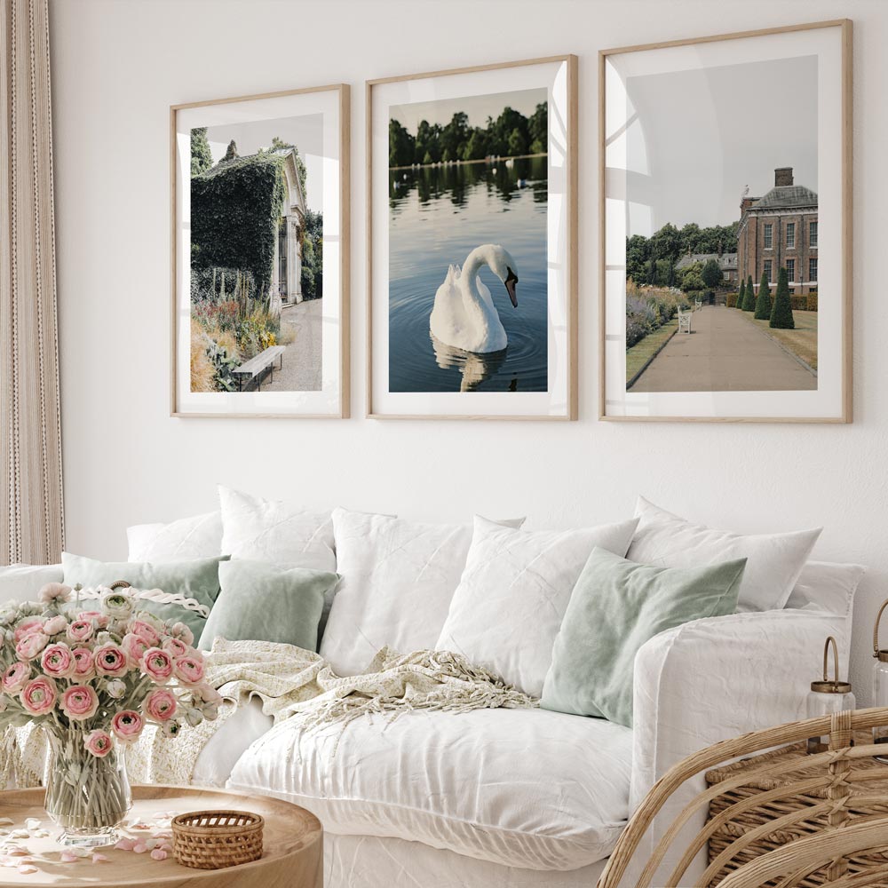 A set of three framed photographs displaying a white swan in a garden setting, placed on a sofa side in a living room.