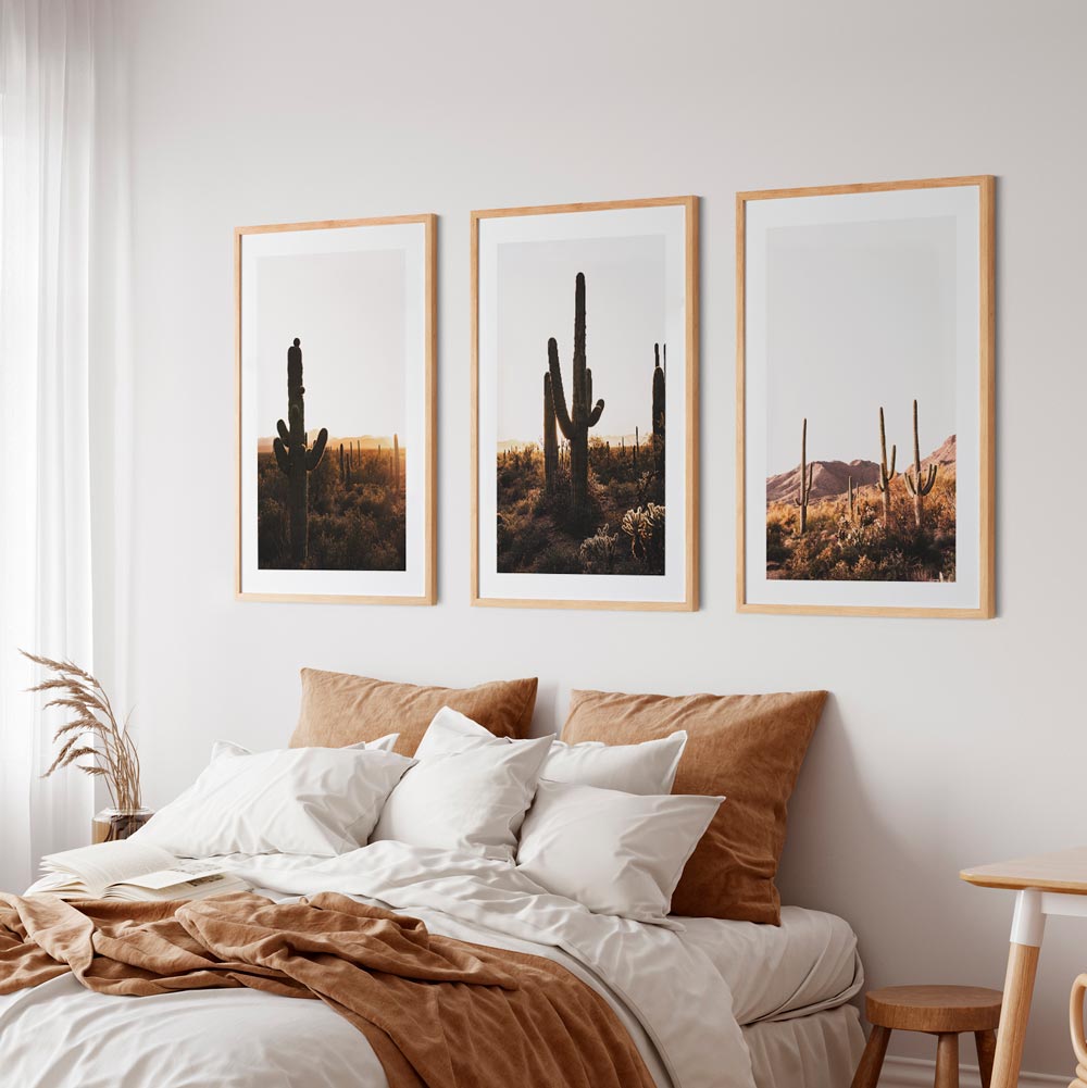 A set of three framed photographs of cacti in an arid landscape, displayed on a wall above a bed.