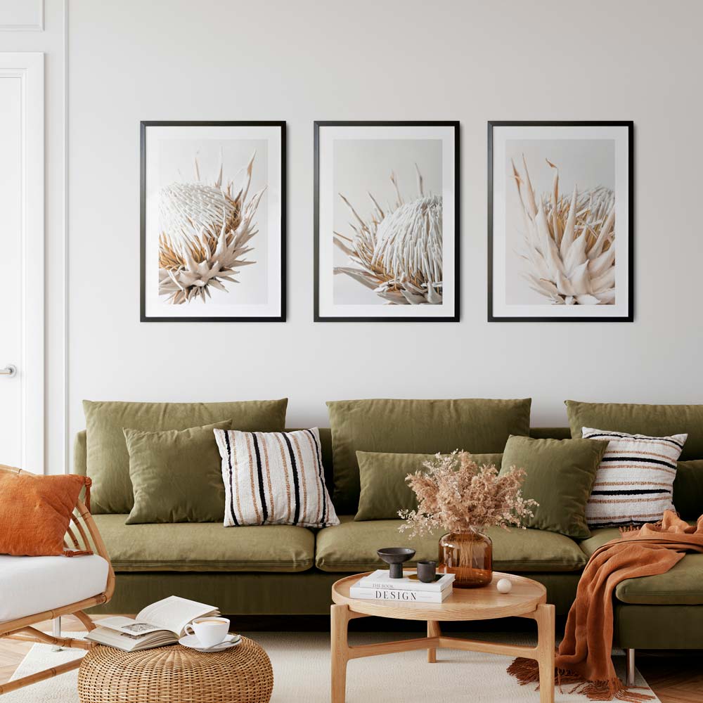 Set of 3 Art Prints - Dry Protea I,II & III