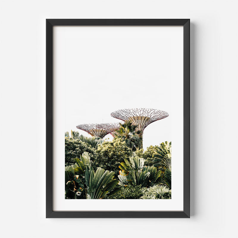 Framed photograph of Supertrees in a forest setting
