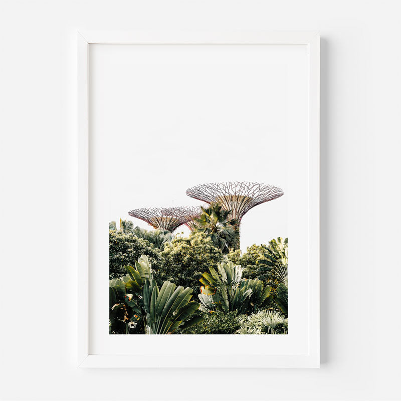 Framed photograph of Supertrees in a forest setting
