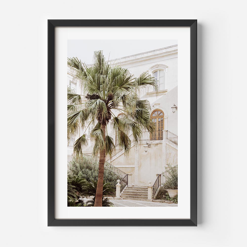 Syracuse Palm Art Print