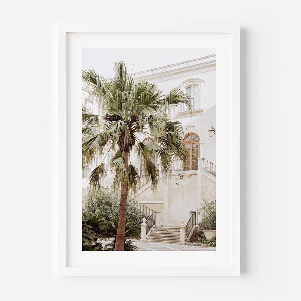 Syracuse Palm Art Print