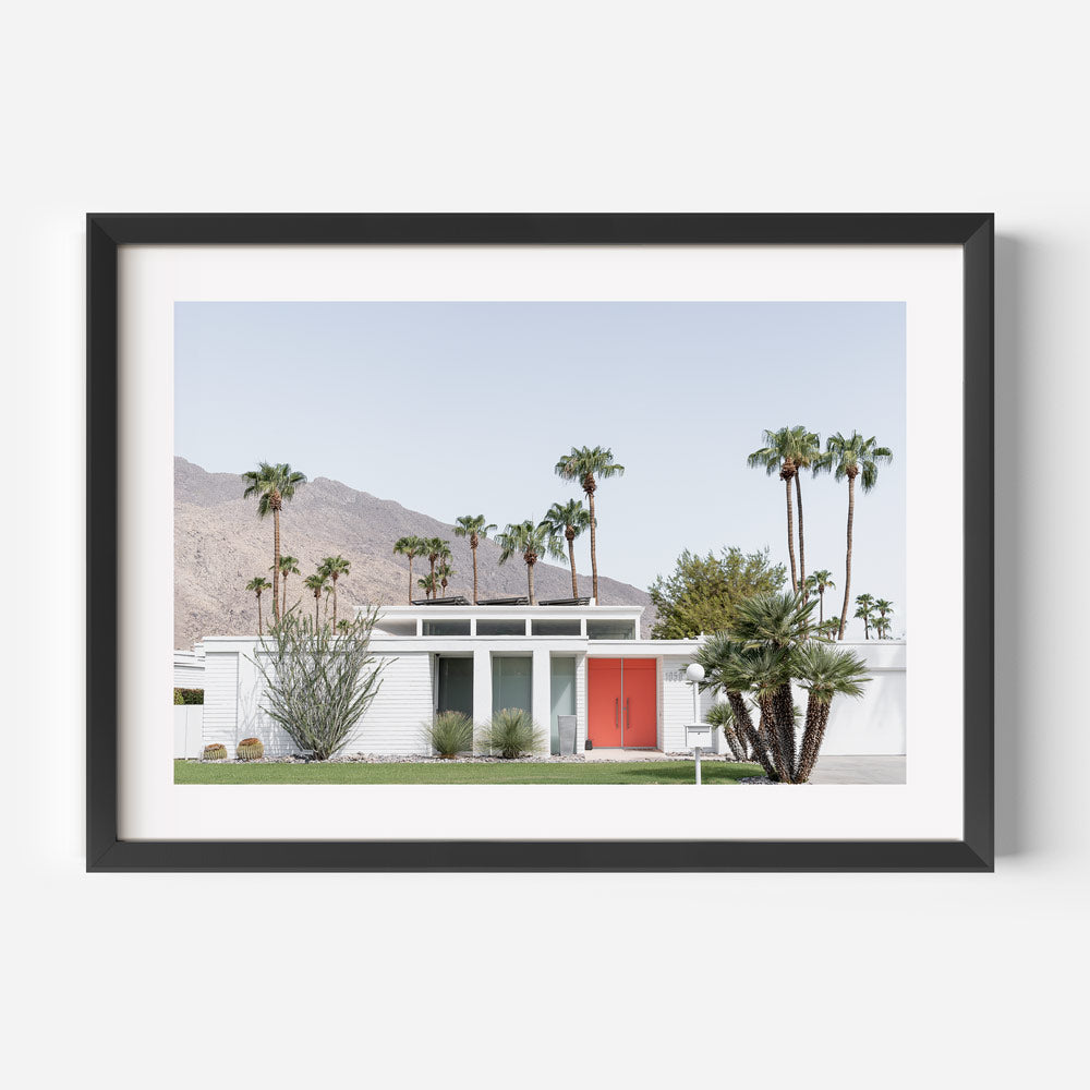 Tangerine Door Palm Springs Art Print